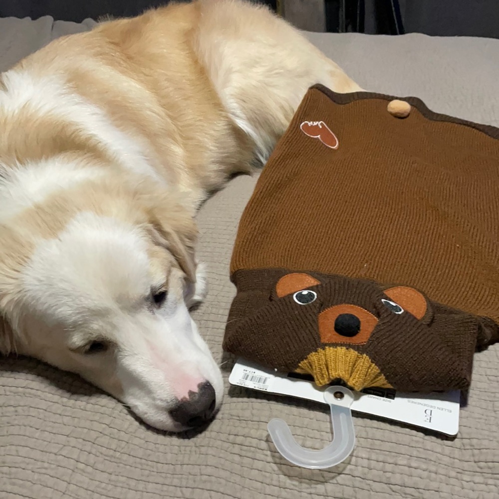 NWT Ellen DeGeneres Pet Apparel Bear Sweater
